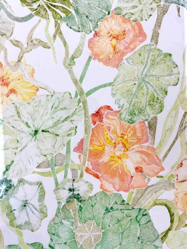 Nasturtium by Emma Bond - Image 2