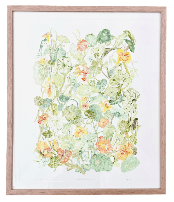 Nasturtium by Emma Bond