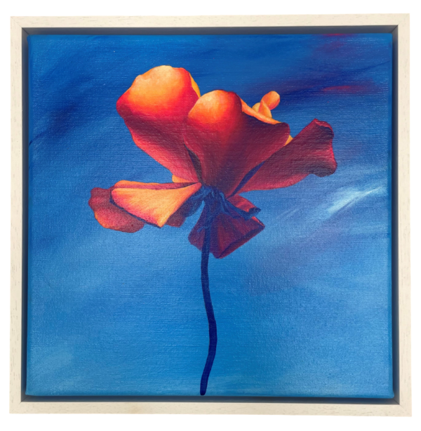 Sunset Rose by Sophie Mess