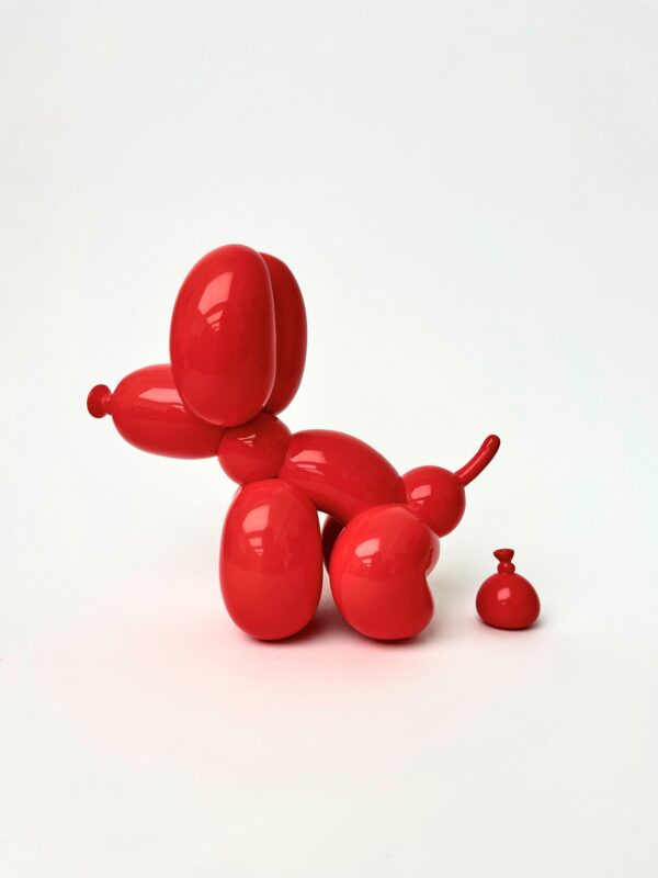 Popek Balloon Dog by Whatshisname