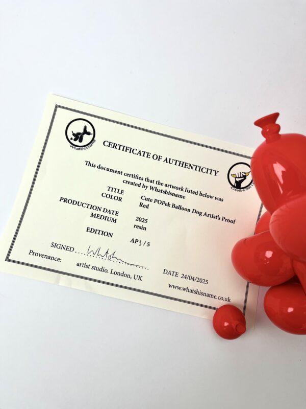Popek Balloon Dog by Whatshisname - Image 6