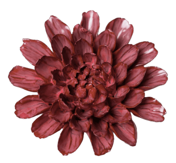 Pink Dahlia by Chive