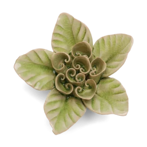 Green Lotus by Chive