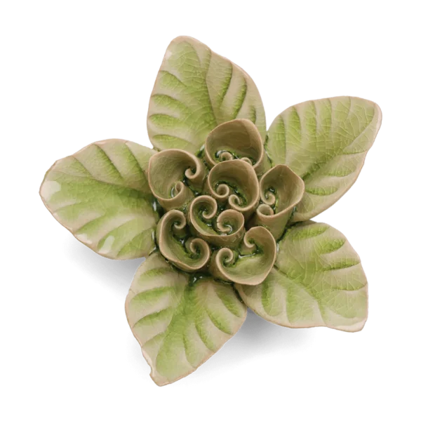 Green Lotus by Chive