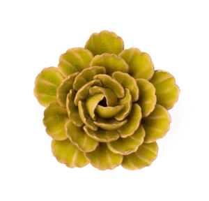 GREEN PEONY - FRANCE FLOWER