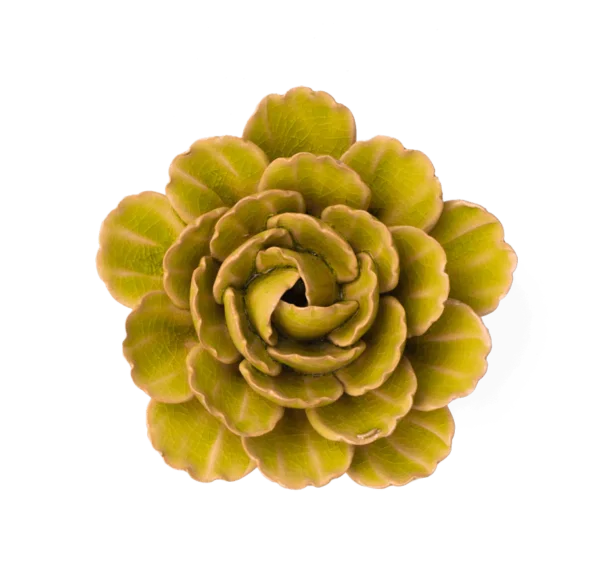 Green Peony by Chive
