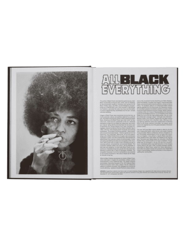 Rapper's Deluxe: How Hip Hop Made the World by Todd Boyd - Image 4