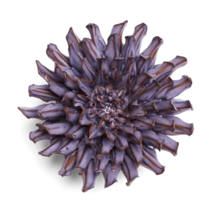 MEDIUM FRACTAL MUM LILAC POM POM DAHLIA - CERAMIC FLOWER COLLECTION 8.1