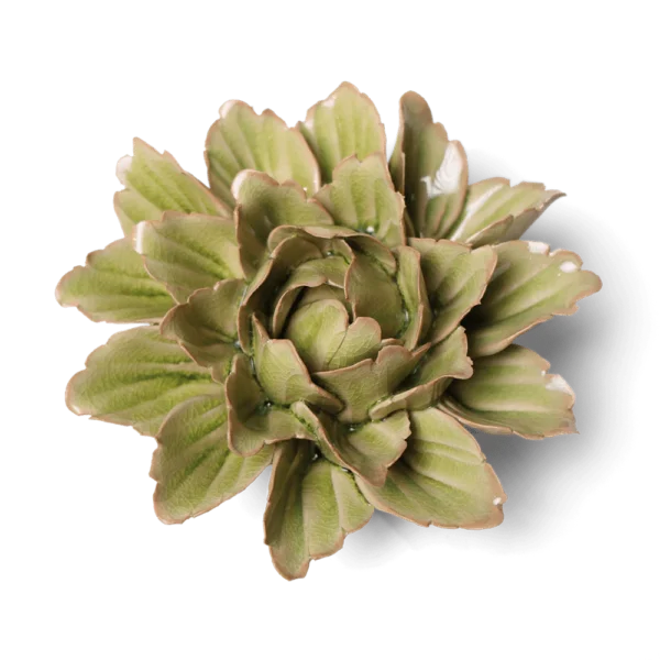 Mint Tree Peony by Chive