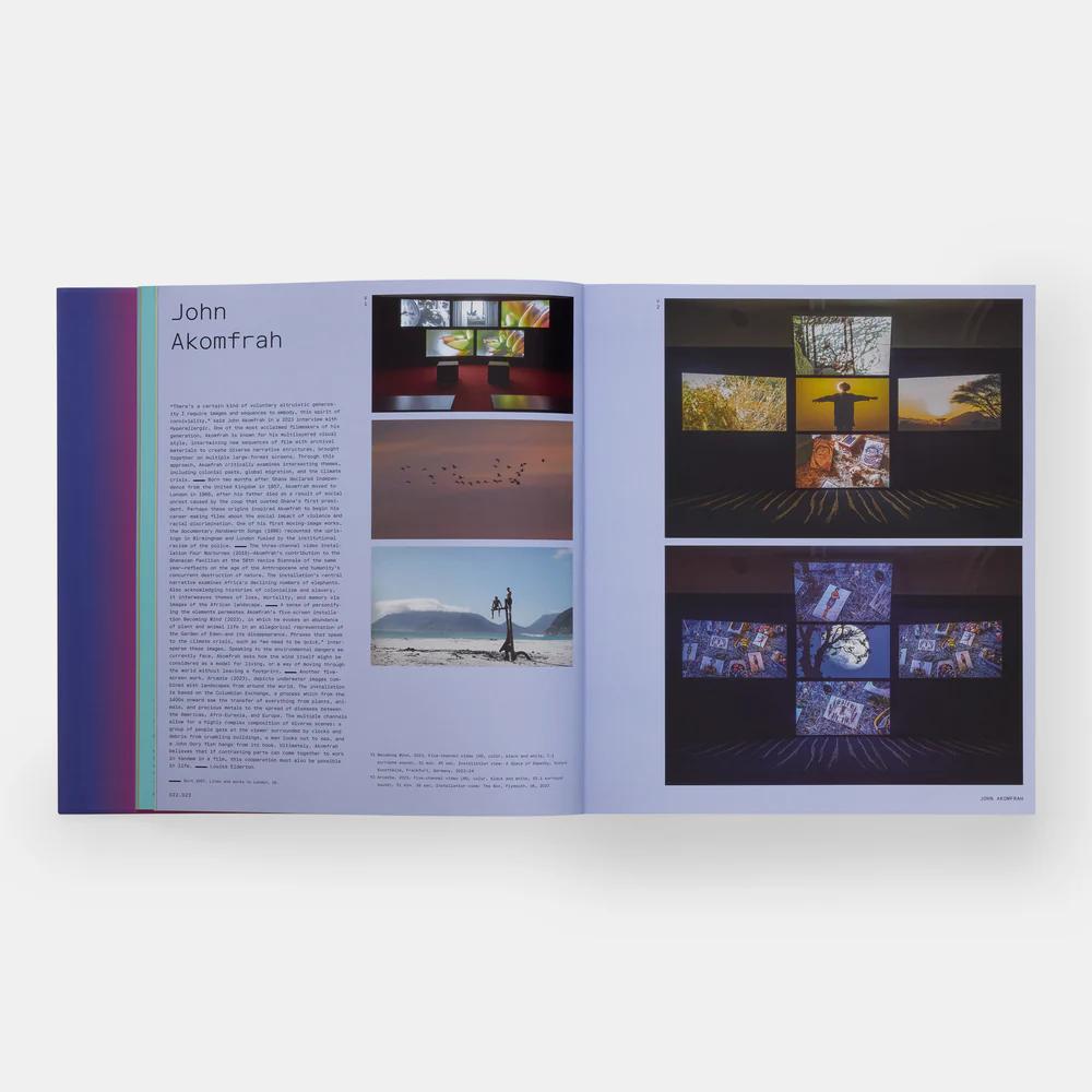 Vitamin V: Video and the Moving Image in Contemporary Art - Image 5